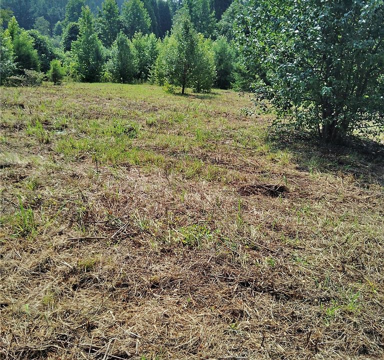 1st image of 0 Jameson Rd