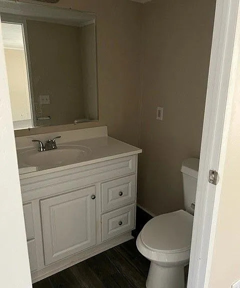 Palmetto Palms — Photo 32
