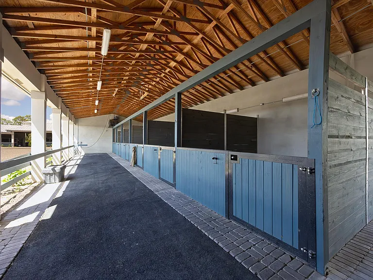 10601 Tamis Trl #STALLS — Photo 11