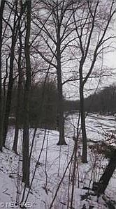 2nd image of 3732 North Tod