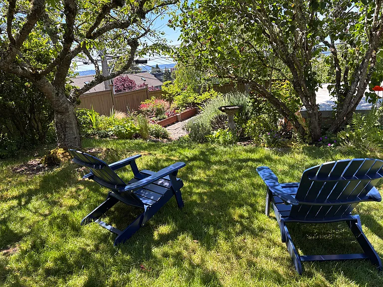 Backyard lawn again