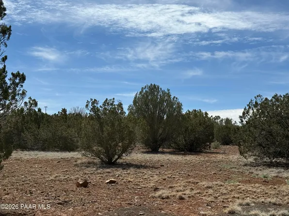 8389 Bear Meadow Dr, Show Low, AZ 85901