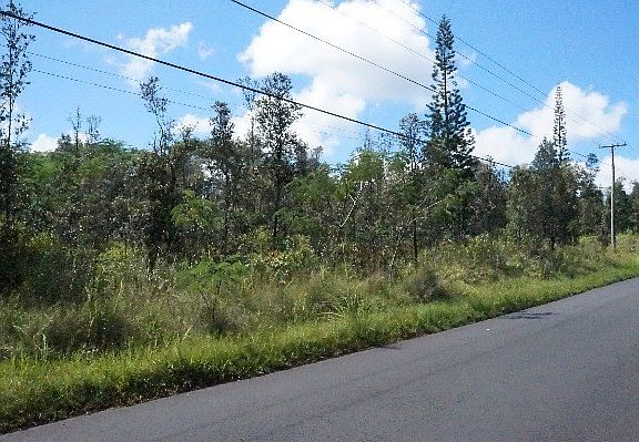 5th image of 16-403 Orchid Land Dr #4-E
