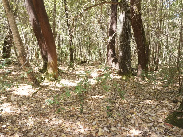 800 Suzy Q Rd, Burnt Ranch, CA 95527