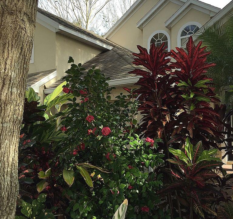 2nd image of 219 Savannah Park Loop