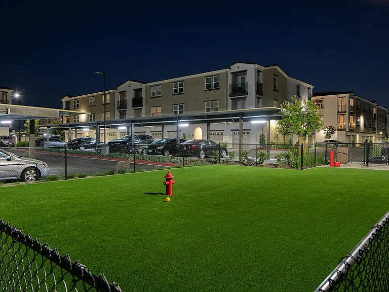 Alivia Apartments — Photo 25