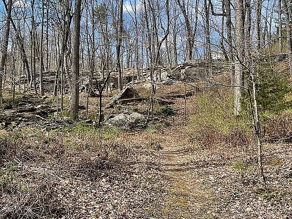 5th image of 320 Massey Ln