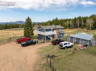 31511 Shadow Mountain Dr, Conifer, CO 80433
