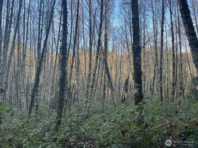 1 XX View Drive NE, Poulsbo, WA, 98370