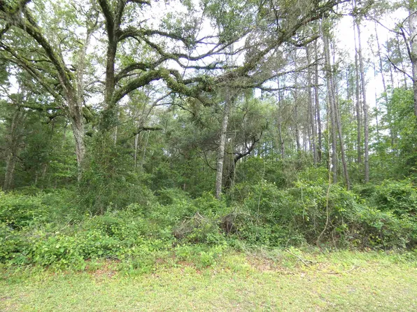 E Cavallo Trl, Monticello, FL 32344