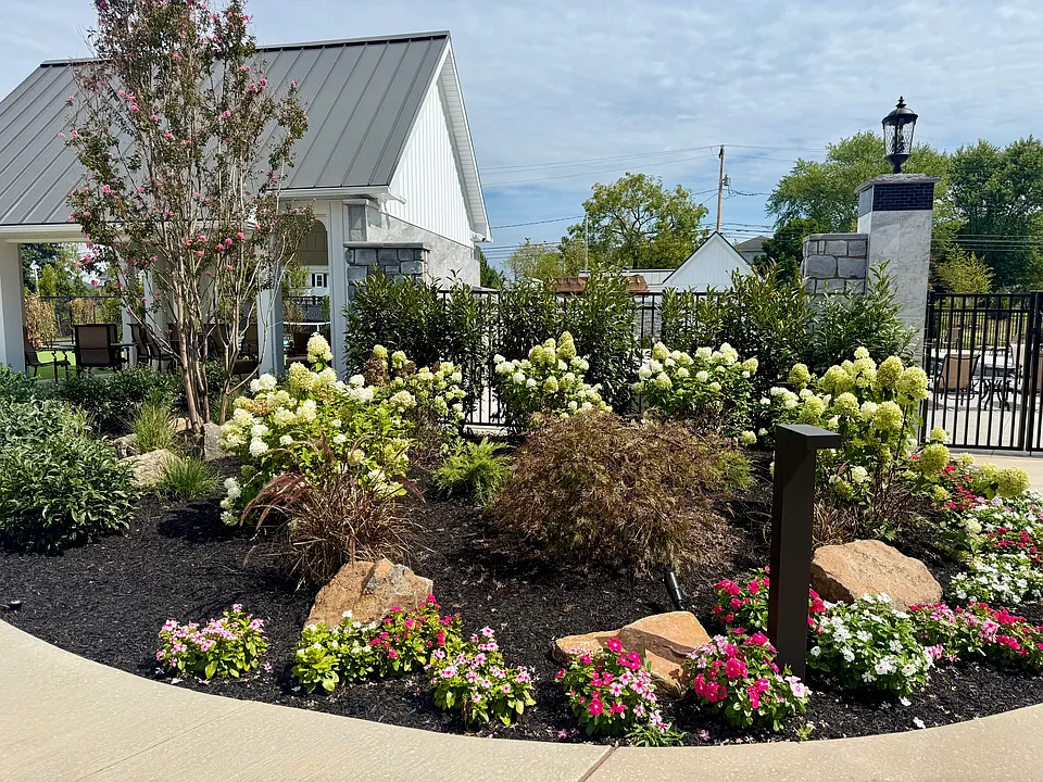 Arbour Green at Amity