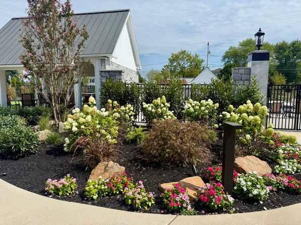 Arbour Green at Amity
