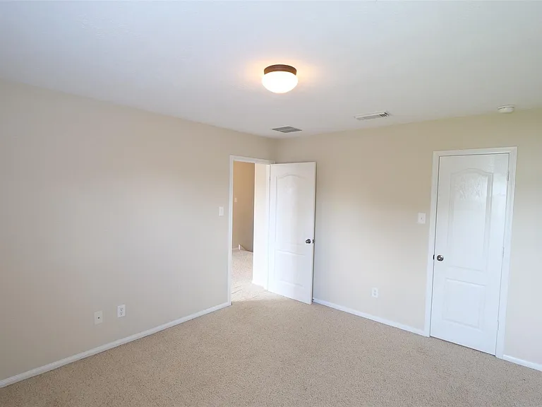 3827 Pine Forest Green Blvd — Photo 22