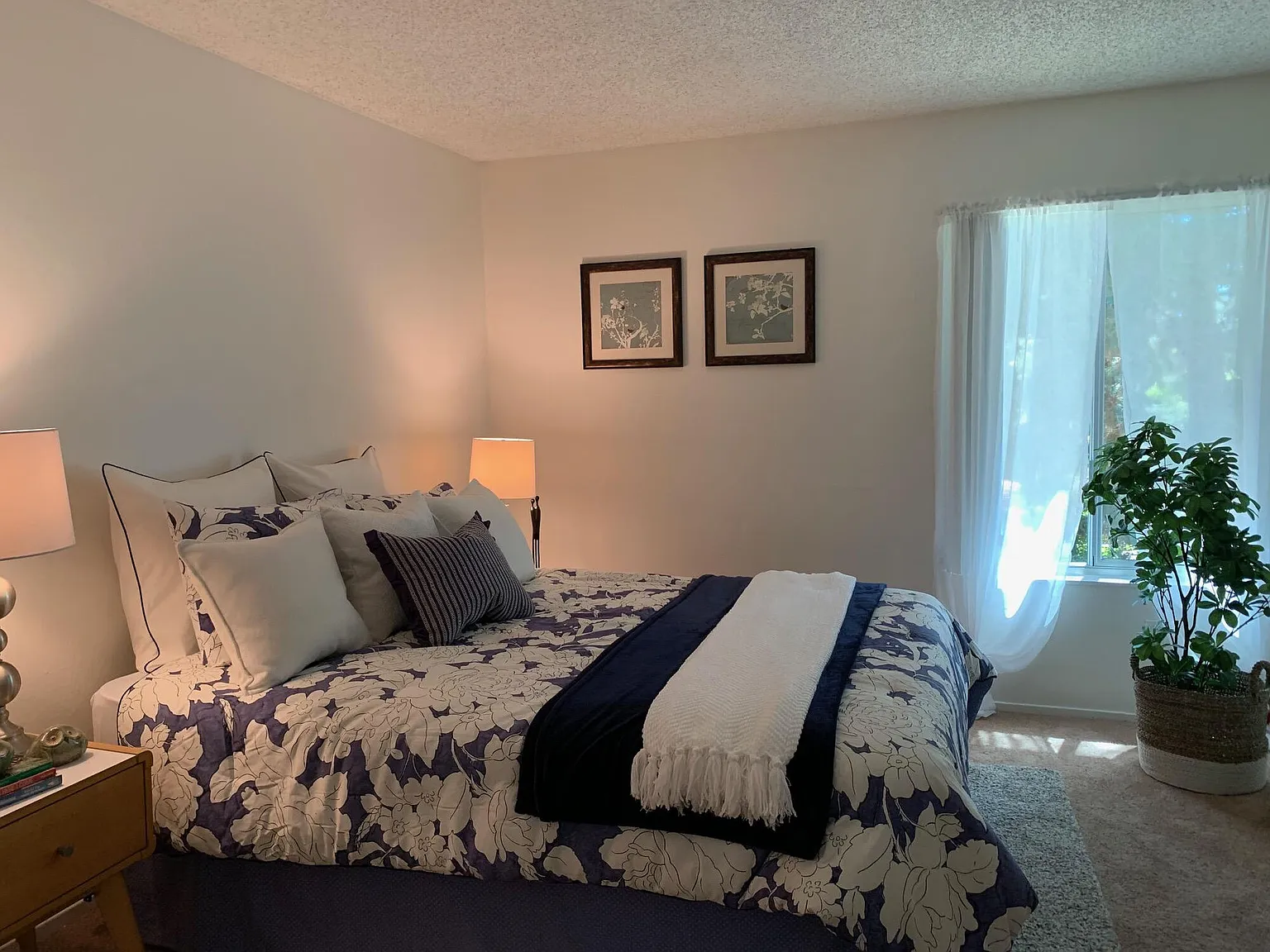 Meadow Wood — Photo 3