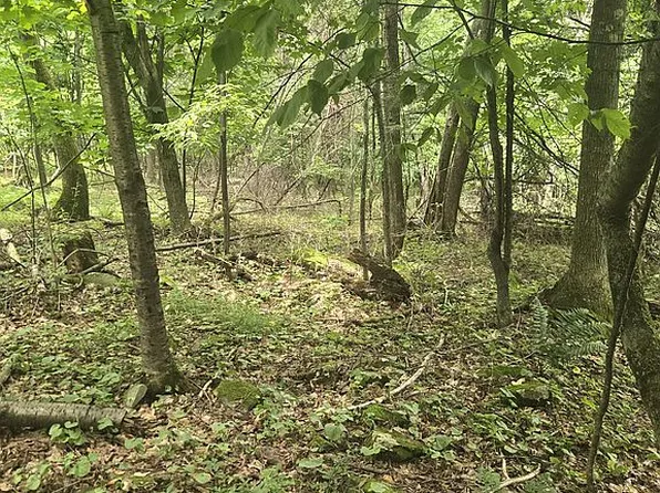 1616 Forest Acres Dr Lot 4, Clarks Summit, PA 18411