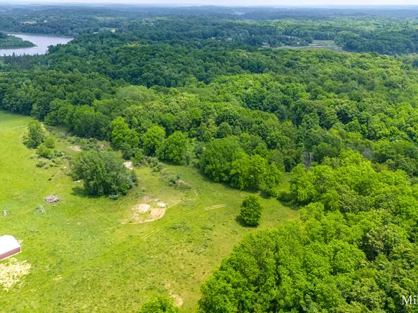 Lammers Rd, Delton, MI 49046