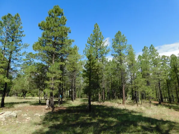 2465 San Juan Dr, Happy Jack, AZ 86024