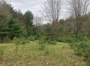 Tenney Pond Rd #8, Newbury, VT 05051