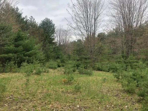 Tenney Pond Road #8, Newbury, VT 05051