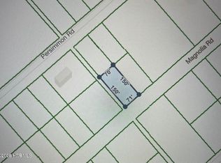 322 Magnolia Road Road, Boiling Spring Lakes, NC 28461