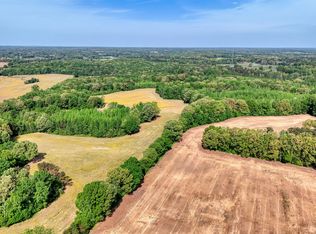 19735 Tennessee #22, Wildersville, TN 38388