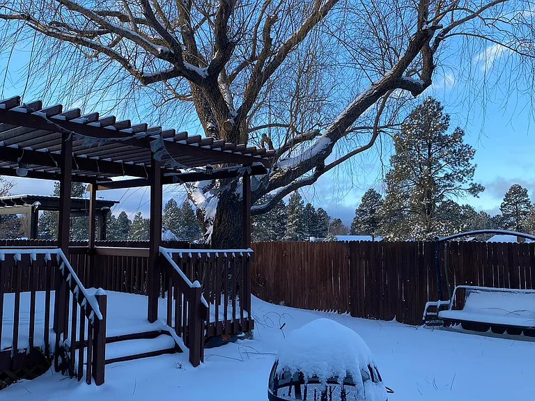 Backyard has pergola and fire pit. More fun in the summer!