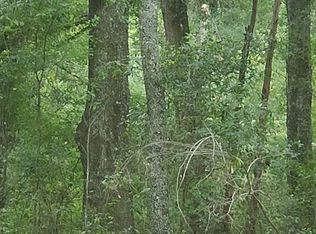 9169 188th Ter, Mcalpin, FL 32062