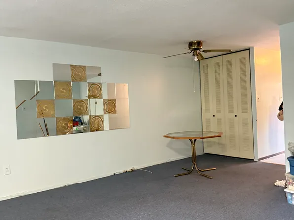 244 Grafton Street image 4 of 15