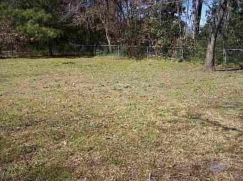 3rd image of 105 Bonaire Cir N