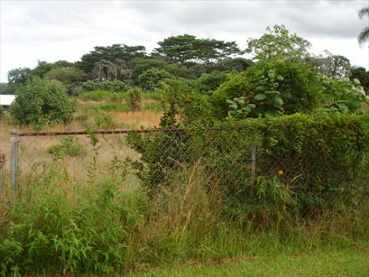2nd image of 17-203 Meaulu St Lot 256