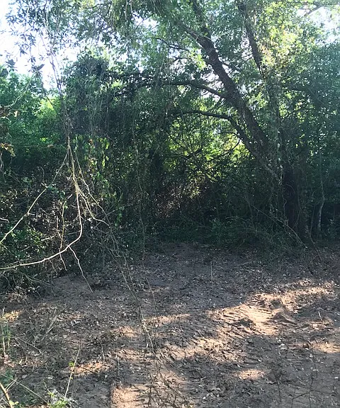 Manuel Rd — Photo 15