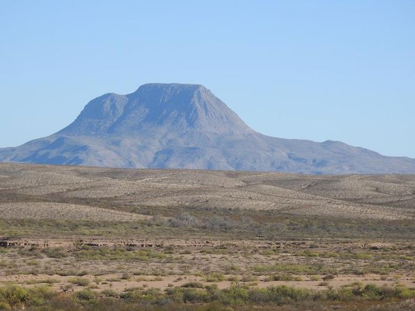 Realtors In Alpine Tx