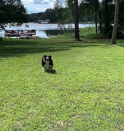 3.2 acres to play 