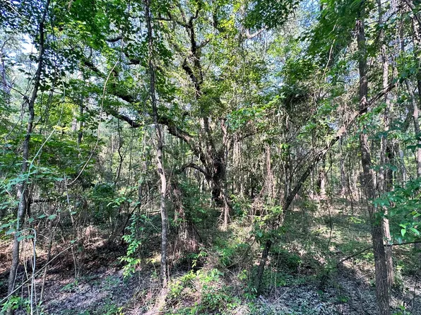 175th Dr Lot 6, Live Oak, FL 32060