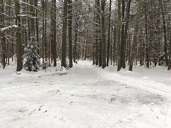 2nd image of N11912 Richards Ln
