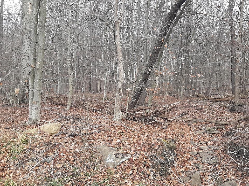 2nd image of 0 North St