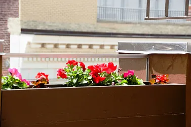 Rented by Conley Management Group