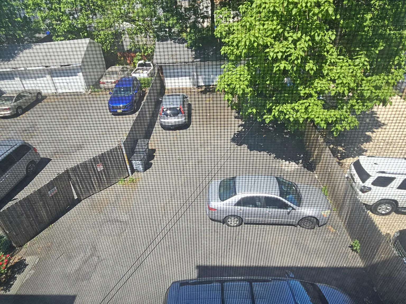 3 bed, 1200 sqft, $2,499 — Photo 3