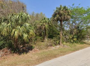 Longwood Dr Lot 13, Osteen, FL 32764