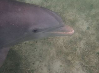 22228 S Lewellen Rd, Beavercreek, OR 97004