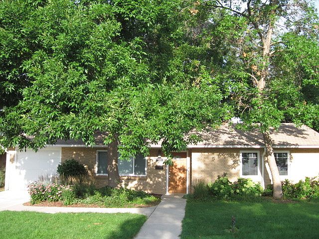 1st image of 608 Balsam Ln