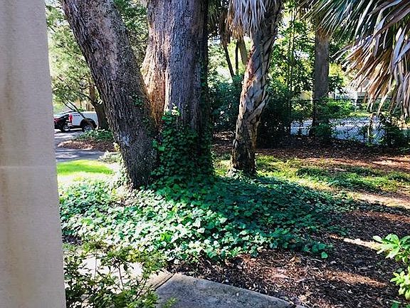5th image of 264A Moss Oak Ln