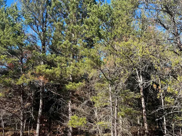 0 E North Down River Rd, Grayling, MI 49738