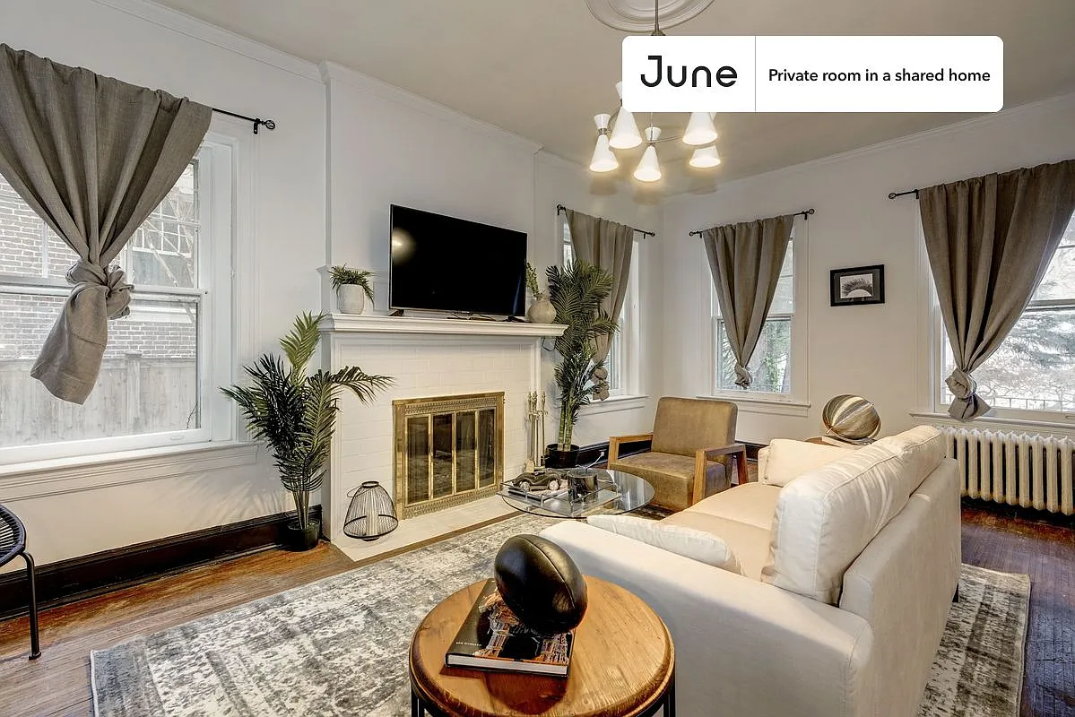 Full bedroom in 7 bed/3.5 bath home in Woodley Park #115 3B — Photo 3