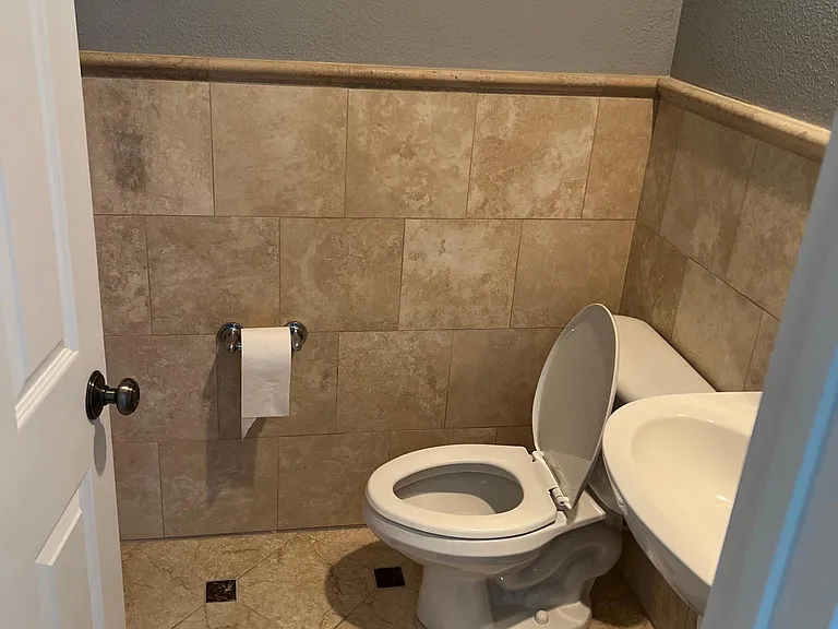 downstairs (guest) bathroom