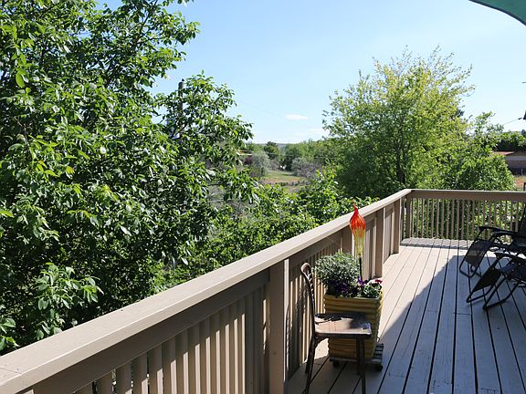 Deck Surrounded By Trees