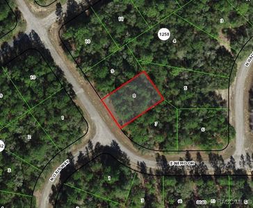 535 E Nemo Dr, Citrus Springs, FL, 34434