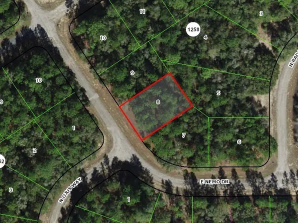 535 E Nemo Dr, Citrus Springs, FL 34434