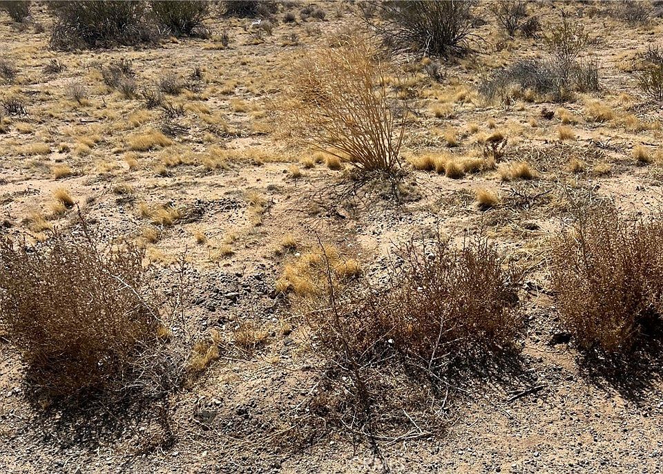 2nd image of 0 Resin Rd