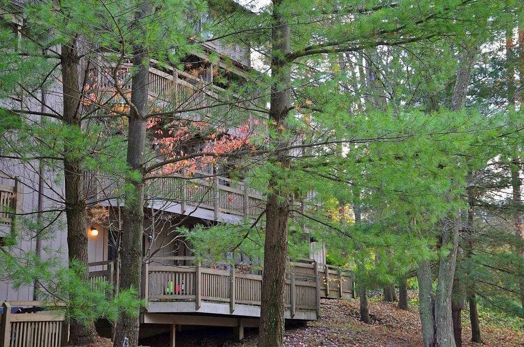 Pine Mill Ridge Apartments — Photo 2
